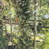 bg 1-1.25 m buy online UK.