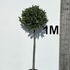 baytree 1.2-1.3 m buy online UK.