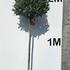 baytree 1.7-1.8 m buy online UK.