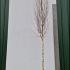 Betula Utilis Jacquemontii Birch - Single Stem 5.5-6 m buy online UK.