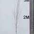 betj 3.5-4 m buy online UK.