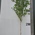 betj 4-4.5 m buy online UK.