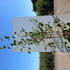 bu 1.75-2 m buy online UK.