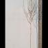 Betula Utilis Jacquemontii Snow Queen 3-3.5 m buy online UK.