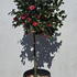 cwdrw 1.4 m buy online UK.