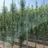 cbf 2.5-3 m buy online UK.