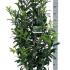 clca 1.5-1.75 m buy online UK.