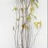 cp 1.75-2 m buy online UK.