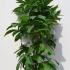 cv 60-80 cm buy online UK.