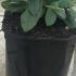 cps 5-10 cm buy online UK.