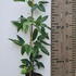 caab 60-80 cm buy online UK.