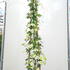 cfap 1.75-2 m buy online UK.