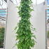 clvi 1.75-2 m buy online UK.