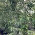 ctgt 2.5-3 m buy online UK.