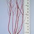 cas 80-100 cm buy online UK.
