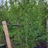 cm 2-2.5 m buy online UK.
