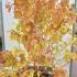 csmf 1.75-2 m buy online UK.