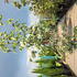 cvd 1.5-1.75 m buy online UK.