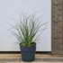 cse 30-50 cm buy online UK.