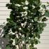 ca 2.25-2.5 m buy online UK.