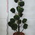 cgt 1.5-1.75 m buy online UK.