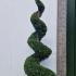 Cupressus Leyland Spirals 2-2.5 m buy online UK.