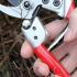 Darlac DP Expert Medium Bypass Pruners    buy online UK.