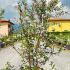 Deutzia Scabra Pride of Rochester 1.5-1.75 m buy online UK.