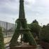 Unique Eiffel Tower topiary, expertly shaped from Ligustrum Jonandrum this amazing Topiary is 3.5 metres high, for sale online with UK delivery.