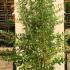 ea 1.5-1.75 m buy online UK.
