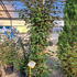 eleag 1.5-1.75 m buy online UK.