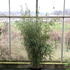 fargrobucamp 1.5-1.75 m buy online UK.