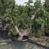 fic 2-2.5 m buy online UK.