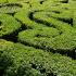 Buxus Sempervirens hedging plants used for this topiary parterre garden