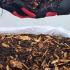 Friendly Fungi Compost 100% PEAT FREE   buy online UK.