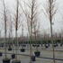 gbps 3.75-4.25 m buy online UK.