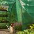 Grow It Premium Poly Tunnel   buy online UK.