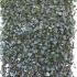 Outdoor Ivy Privacy Screens