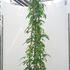 hl 1.75-2 m buy online UK.