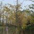 hls 3-3.5 m buy online UK.