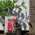 Hydrangea Paniculata Pinky Winky 10-20 cm buy online UK.