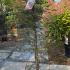 Acer Palmatum Dissectum Garnet 1.3-1.4 m buy online UK.
