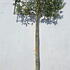 ilnspl 2.8 m buy online UK.
