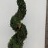 Italian Cypress Agrimed Spirals Cupressus Sempervirens 2-2.5 m buy online UK.