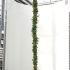 Jasminum Nudiflorum Winter Jasmine 2-2.5 m buy online UK.