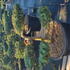 jgo 1.25-1.5 m buy online UK.