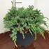 jsbc 20-30 cm buy online UK.