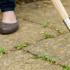 Kent and Stowe Stainless Steel Long Handled Weeding Knife   buy online UK.