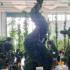 Leyland Cypress Castlewellan Gold Spirals  2.7-2.8 m buy online UK.