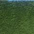 Leylandii or Leyland Cypress Root Balls for Hedging -  probably the most cost effective and fastest growing hedging available. 